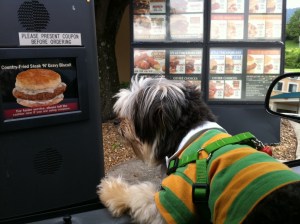 "No, I don't want a steak biscuit."