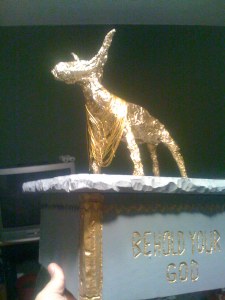 imported on thanksgiving 009