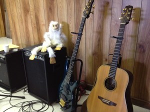 monkey and guitars
